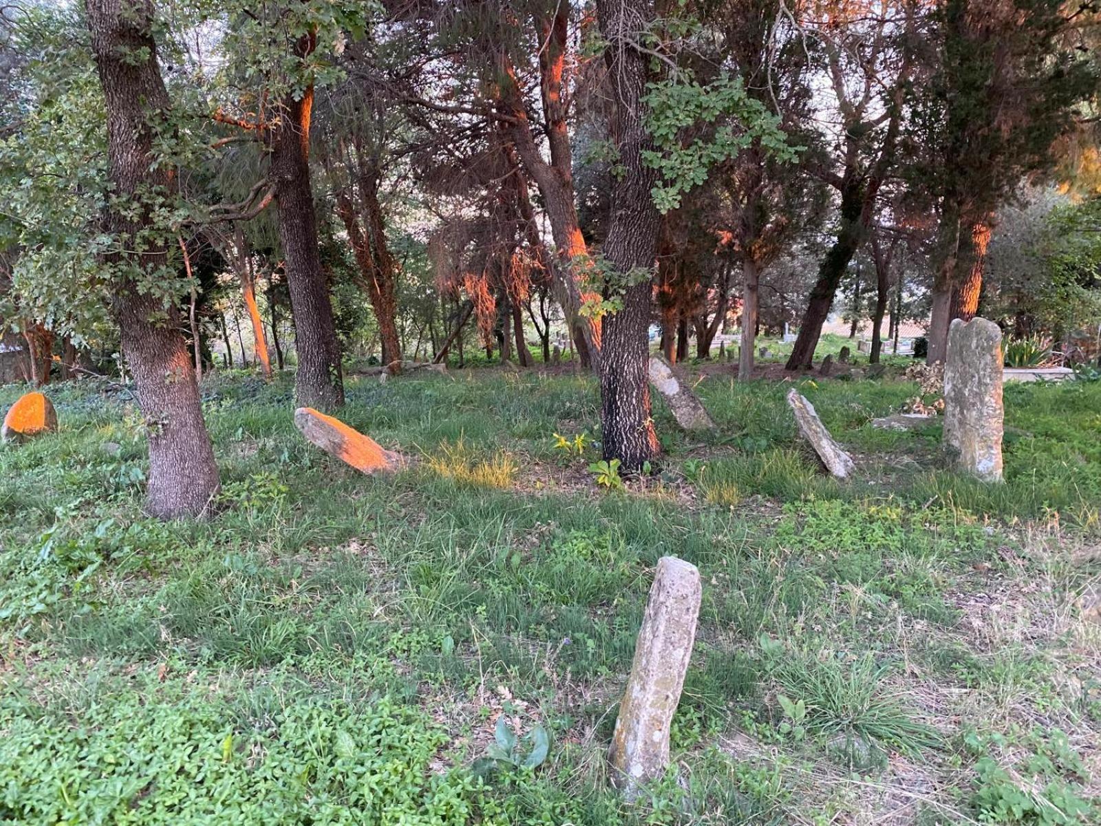 Bujtina Ismet Gjeli Kavaja